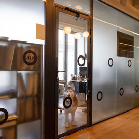 privacy window film with shapes