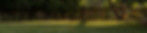 natural backstop