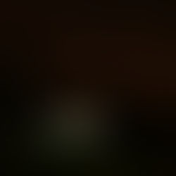 A Pro‑Bono Offer for Organisations Who Think and Act Bravely