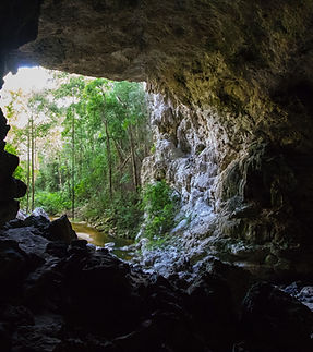 Image by Robin Canfield