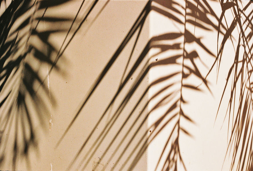 Image by Chris Weiher