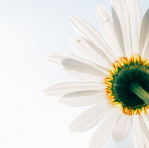 The Psychological Impact of Breast Cancer: Strategies for Coping