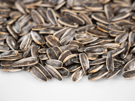 Sunflower & Sesame Seeds