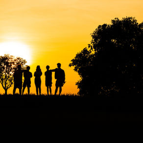 Human Needs in Love and Life