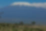 Experience the beauty of Mount Kilimanjaro on a Kilimanjaro Day Trip via the Marangu Route. Trek from Marangu Gate to Mandara Hut and back, passing through rainforest with diverse wildlife.