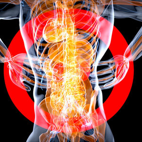 Leaky Gut and inflammation