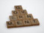 scrabble letters spelling out governement