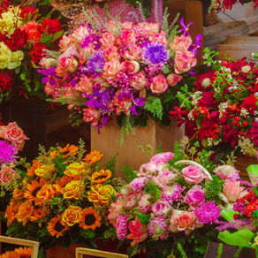 Dorothea von Cäsarea