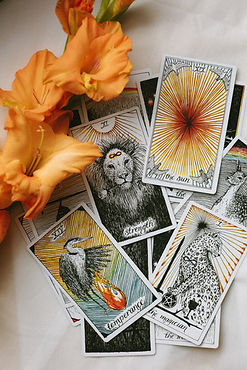 Image by Zena Rice-Sarantis