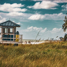 It Just Happened Plein-Air Show January 13 - February 22, 2027