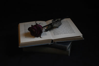 Image by Mariah Hewines