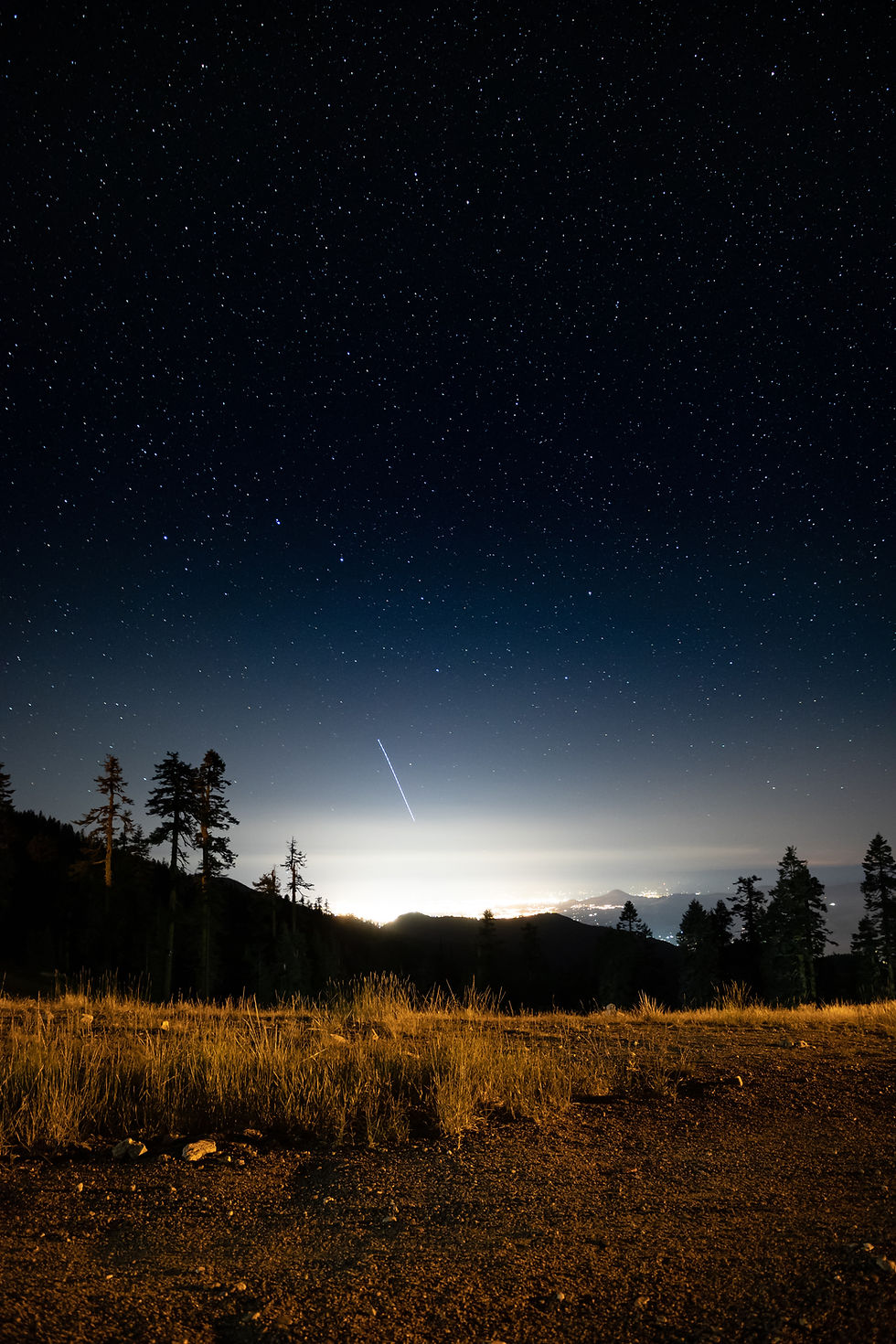 Do Not Go Gentle into That Good Night—or Should We Say Dark Night?