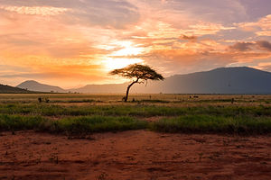 Cover photo article The Young Economist: "Investment in african countries: how is the situation?"