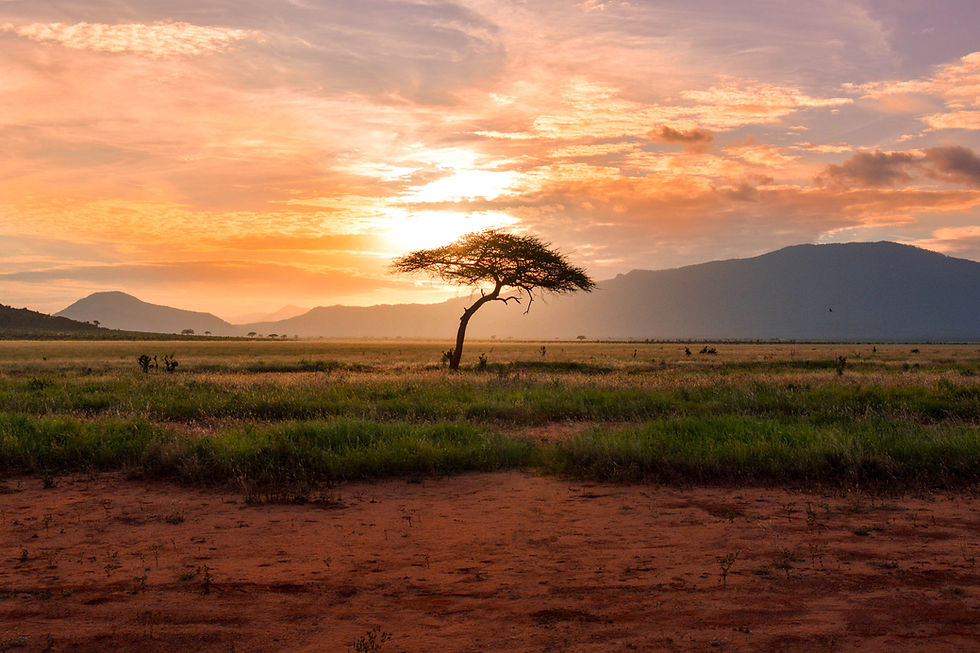 Kenya Premium Experience