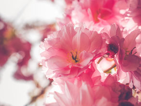 50 Affirmations To Awaken Your Divine Feminine Energy