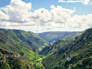 Life in the Tarn: Slow Living, Stone Villages and Southern Soul