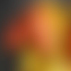 Indonesian Cocoa: From Tropical Plantations to the World’s Chocolate Table