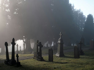 Stay Out of the Courtroom, Stay Out of the Emergency Room, and By God, Avoid the Cemetery