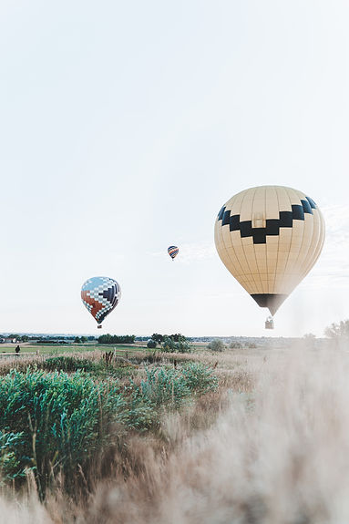Image by LOGAN WEAVER