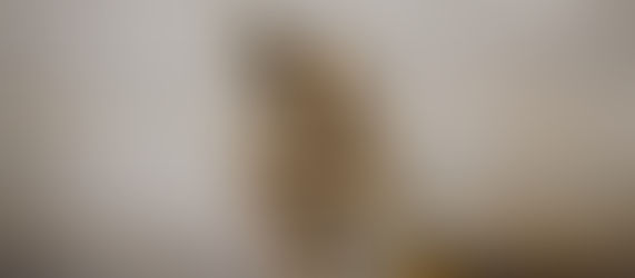 Tozlanmış Öyküler- Ahmet Mazhar- Bir Diyojen