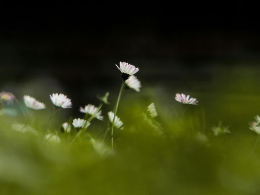 soft fading light symbolizing intuition becoming easier to ignore