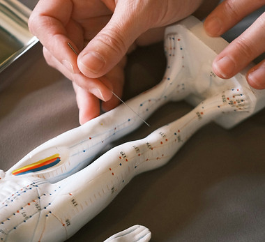 Image by Taylor Heery