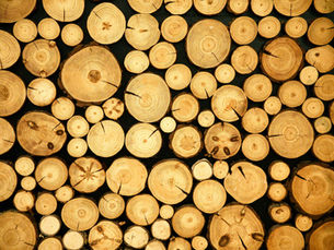 De la Buștean la Marja de Profit: O analiză a lanțului valoric în industria lemnului