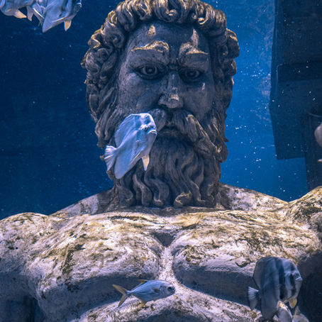 Patrijarhat u Eri Vodolije