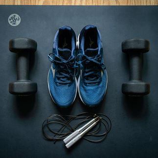 Ayuno intermitente: sin proteína adecuada ni entrenamiento de fuerza reduces masa magra. Aprende a proteger el músculo mientras pierdes grasa.
