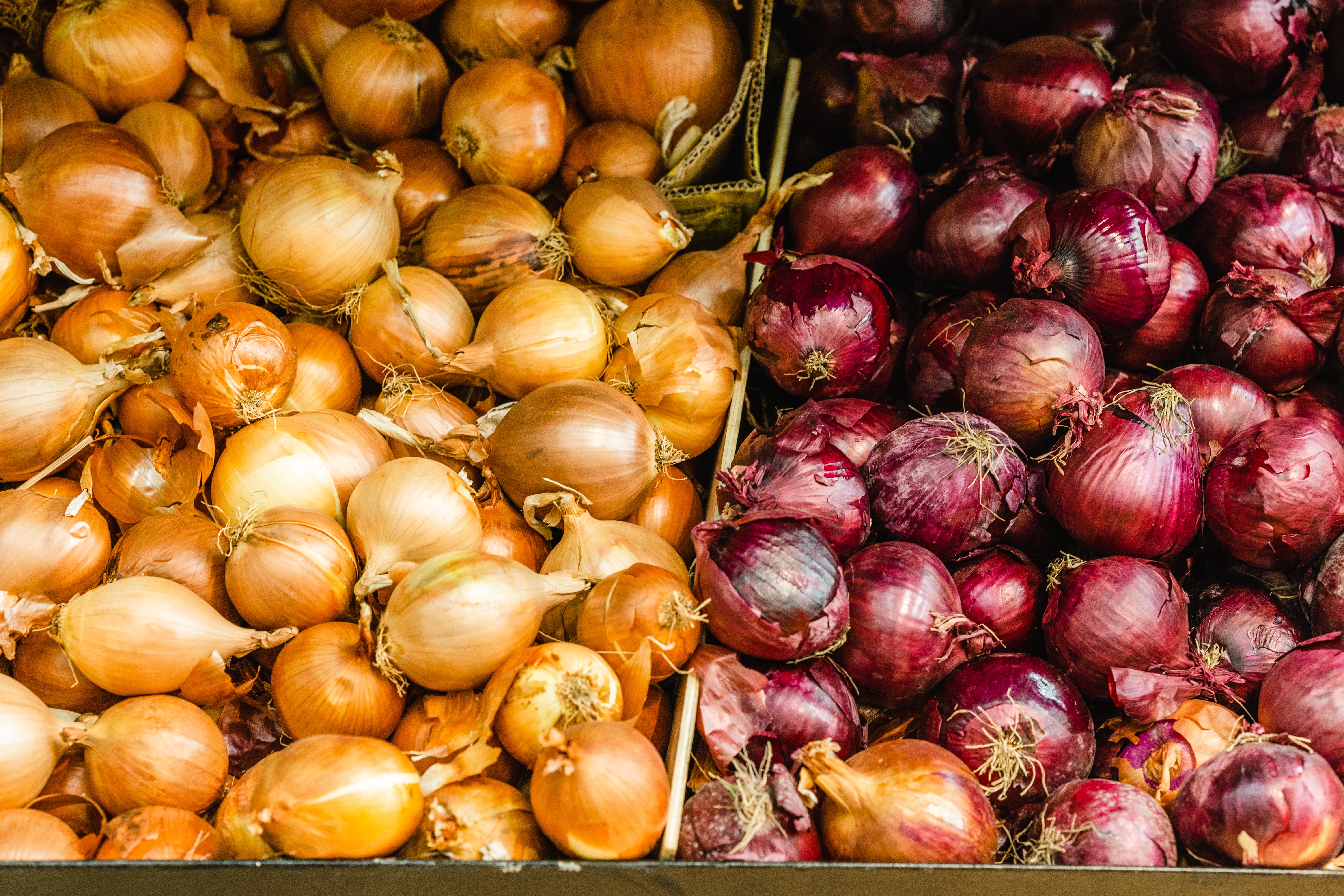 Types of Onions and How to Use Them