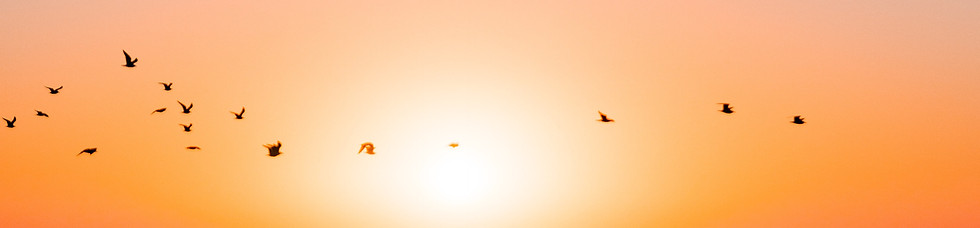 Image by Theodor Vasile