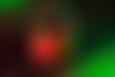 Safeguarding the Digital Fortresses: A Comprehensive Guide to Software Security