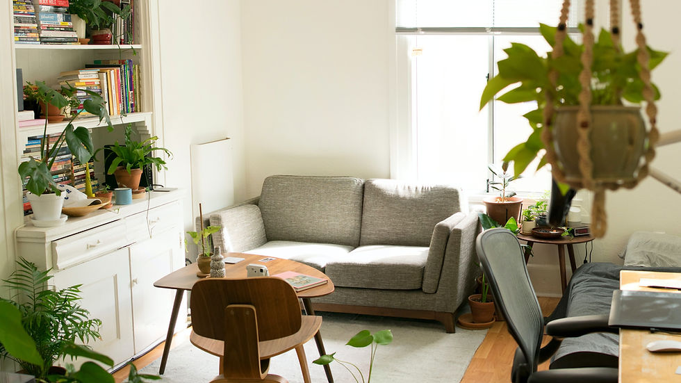 Eye-level view of a calm therapy room with soft lighting and comfortable seating