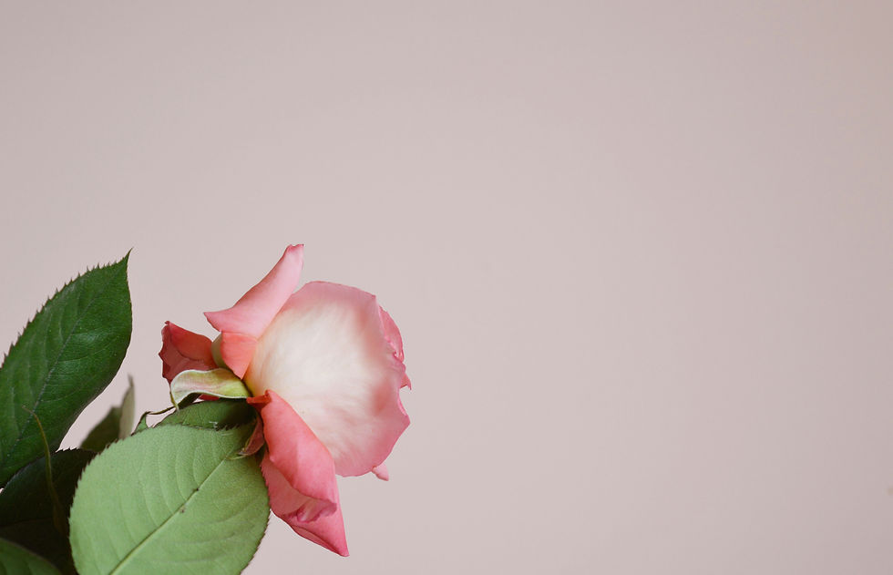 Image by Maria Nikolova