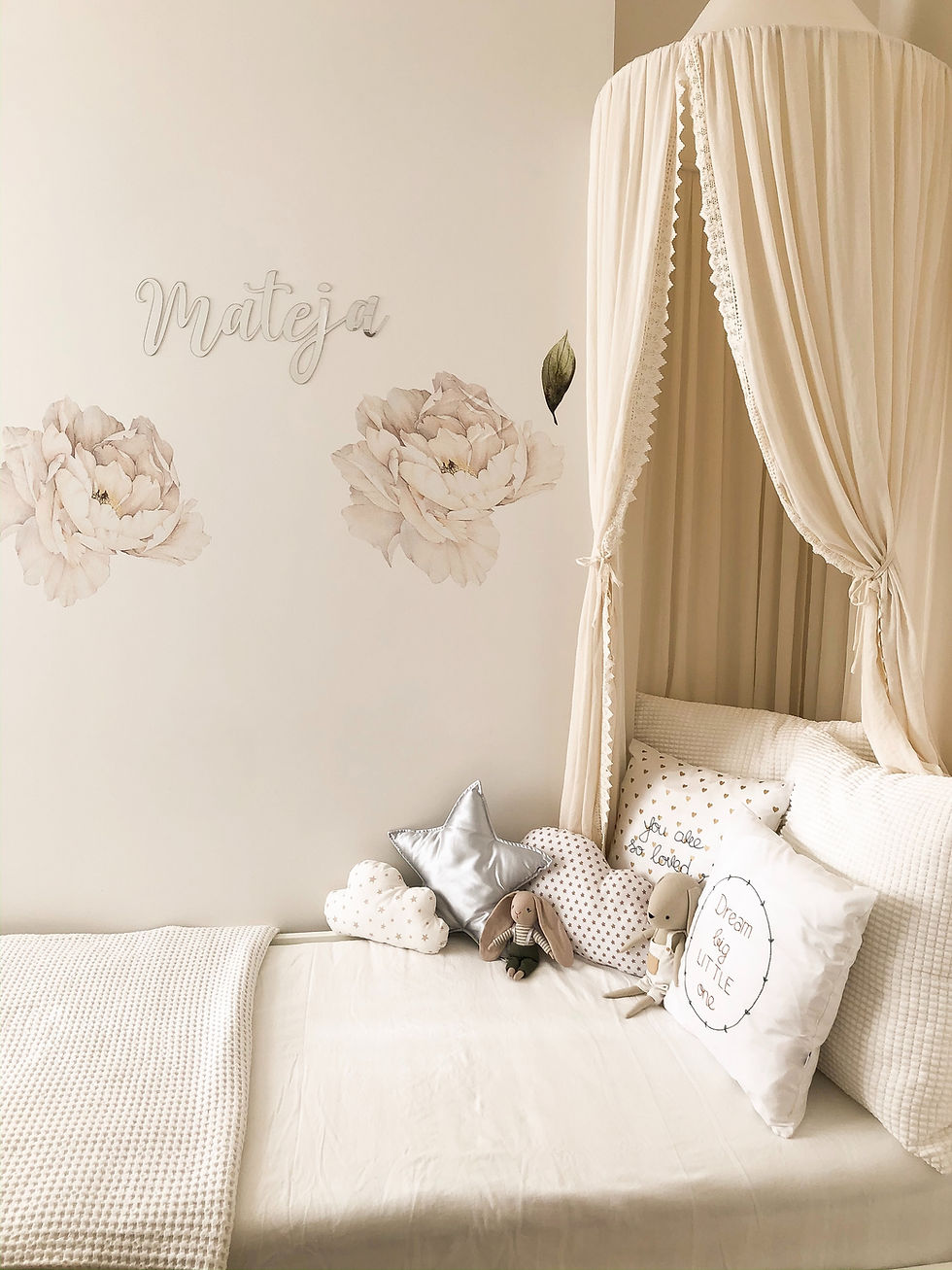 Image by Jelena Mirkovic