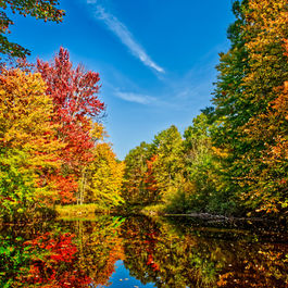 Mid-Year Check-In: Pt. 4 Stepping Boldly Into Fall