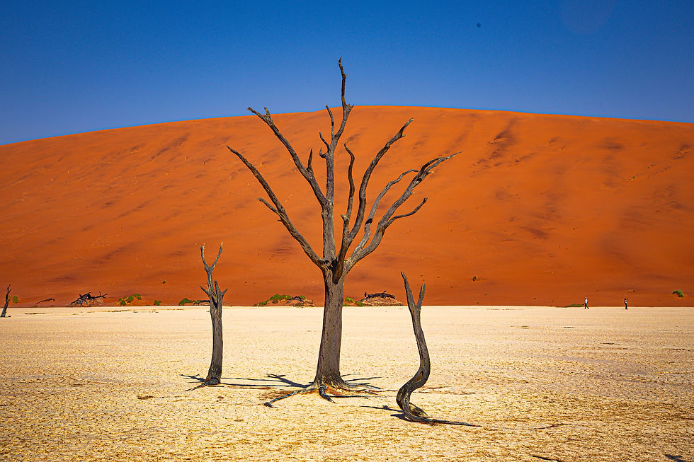 Sossusvlei