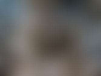 X-Analytics: Residual Risk