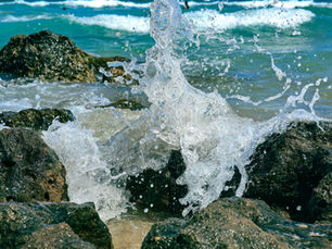 The Deadly Curse of Double-Mindedness