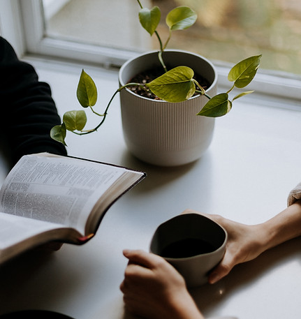 Image by Priscilla Du Preez 🇨🇦