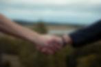 a handshake in agreement