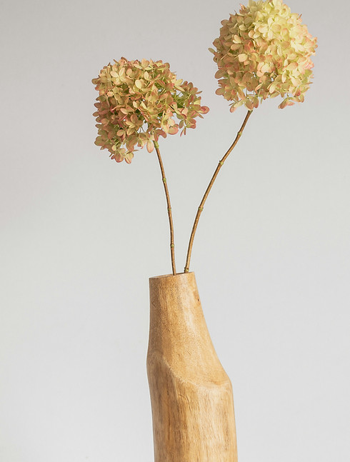 Image de James Trenda