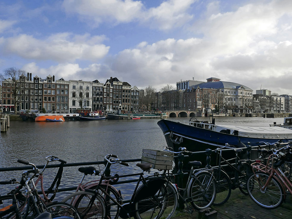 a scenery in Amsterdam
