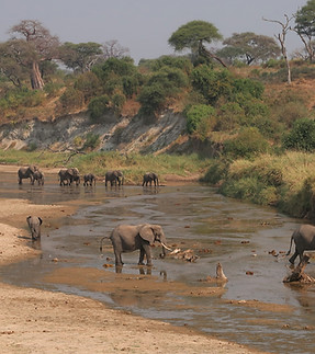 Image by Florian Müller