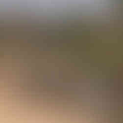 safari tanzanie prix combien ca coute