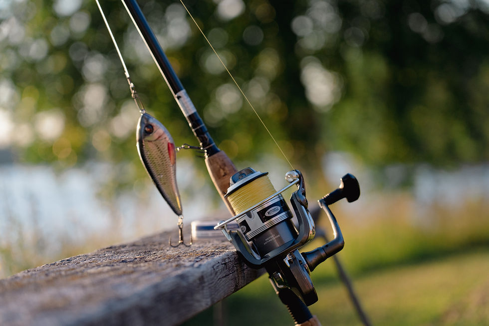How to Apply for a Fishing License + Prices + Types