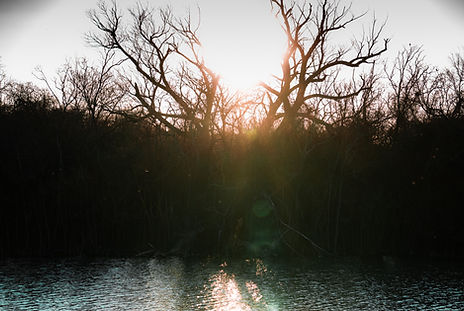 Image by Dylan Hunter