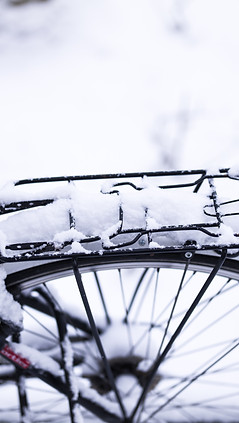 Image by Georg Eiermann