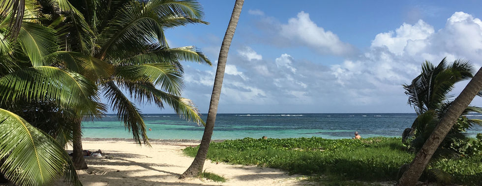 or rent a paddle kayak in the Bay of Fort de France?