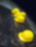 Cruz Construction hard hat at a site